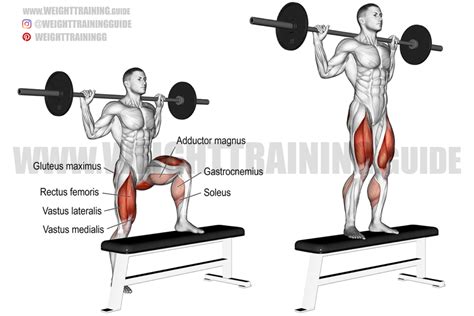 Barbell Step Up Exercise Instructions And Video Weight Training Guide