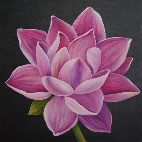 Lotus Flower Painting By Liubov Kvashnina Jose Art Gallery