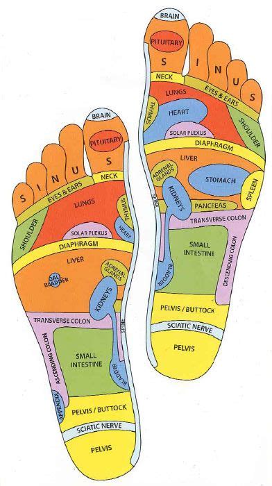 les 25 meilleures idées de la catégorie reflexology foot map sur pinterest et plus encore
