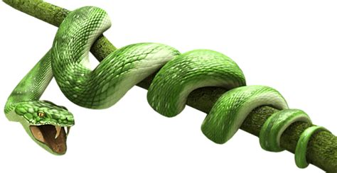 Green Snake Transparent Png Stickpng