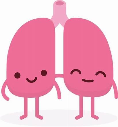 Lungs Healthy Clipart Health Lung Sarcoidosis Cartoon