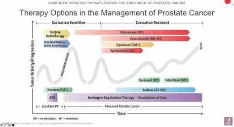 Androgen Targeted Therapy Across The Continuum Of Prostate Cancer