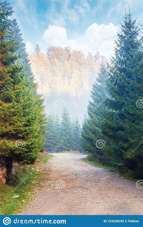 Gravel Road Through Forest In Mountains Stock Image Image Of Heaven