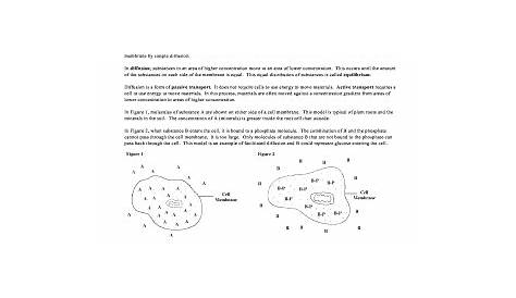 Passive And Active Transport Worksheet - Fill Online, Printable