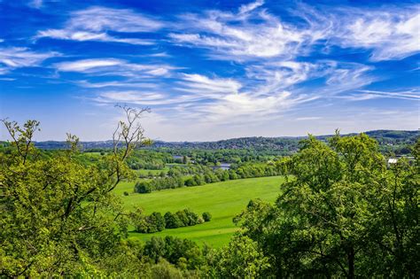 fotos gratis naturaleza campo bosque nubes cielo árbol paisaje natural verde azul