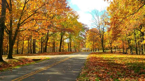 6 Best Fall Foliage Drives In Western Pennsylvania