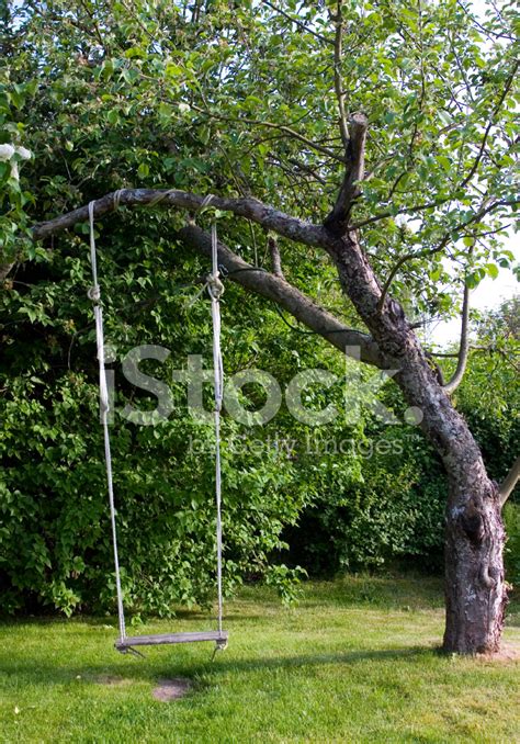 Swing Stock Photo Royalty Free Freeimages