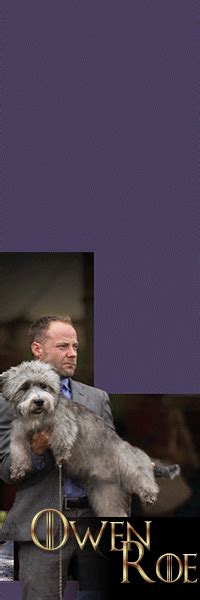 So much so, in fact, that it wouldn't be. New-Statistics | Canine Chronicle