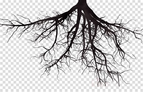 Clip Art Tree Roots ~ Png Clipart