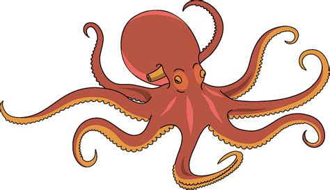 Octopus Clipart Free Download Transparent Png Creazilla