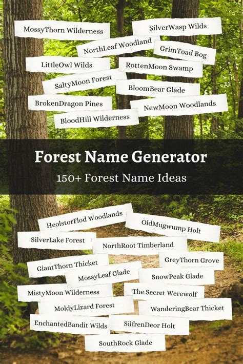 Forest Name Generator 150 Forest Name Ideas 🌲 Imagine Forest Place Name Generator Name