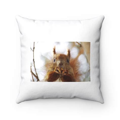 Squirrel Pillow Squirrel Throw Pillow Custom Throw Etsy