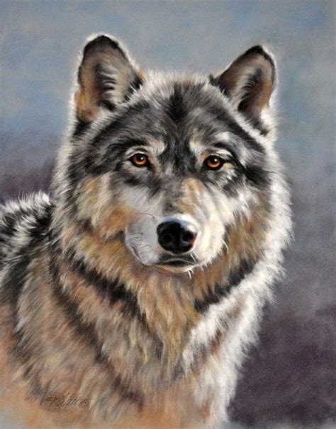 Image Detail For Wolf Portrait Wolf Portraits Wolf Art Wolf