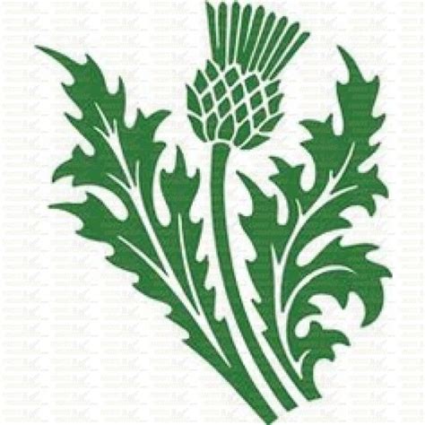 Thistle Svg Download Thistle Svg For Free 2019