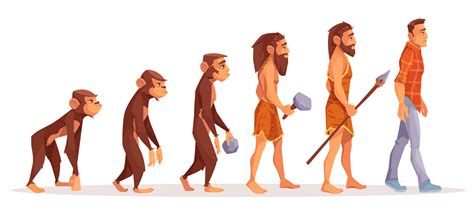 La Evolucion Del Hombre Como Ha Evolucionado El Hombre Images