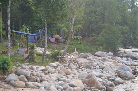 Bermula tahun 2008 sehingga kini, teratak riverview semakin berkembang dan maju. aizamia3: Camping di Teratak Riverview, Tanjung Malim Perak..