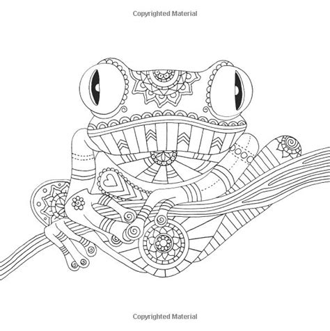 Free download 35 best quality frog coloring pages for adults at getdrawings. tree frog tropical wildlife Coloring pages colouring adult ...