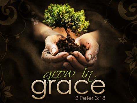2 Peter 318 Verse Of The Day Grow In Grace 2 Peter 2 Peter 3