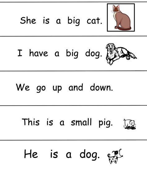 Sight Word Sentences Worksheets For Kindergarten