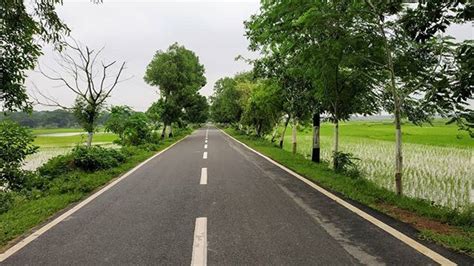 Beautiful Village Road Road Kendrapara Cuttack Odisha Nature