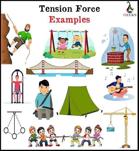 15 Examples Of Tension Force