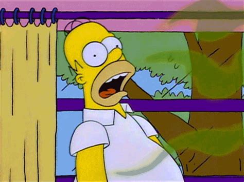 Melting Homer Simpson  Find And Share On Giphy