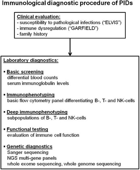 Rational Laboratory Diagnostics Of Primary Immunodeficiency Disorders