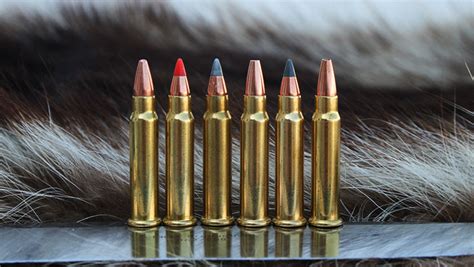 17 Hmr Guide Best Ammo Guns Pew Pew Tactical 45 Off