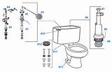 Toilet Repair Mansfield Flush Valve Pictures