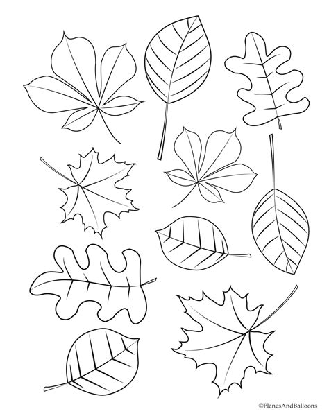 Printable Leaves Coloring Pages