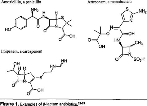 Allergic Cross Sensitivity Between Penicillin Carbapenem And