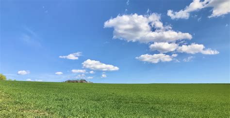 Green Grass Blue Sky Pictures Download Free Images On Unsplash
