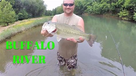 Wading The Buffalo River For Smallmouth And Largemouth Action Youtube
