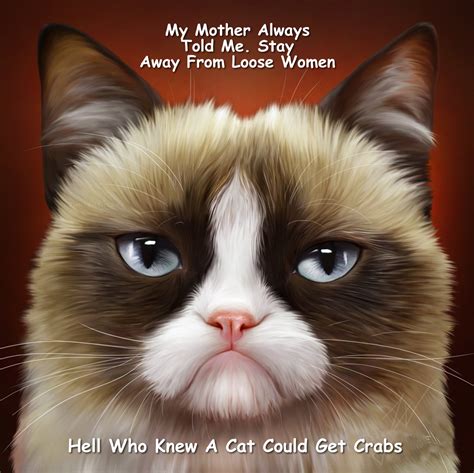 Grumpy Cat Memes By Gary Graefen