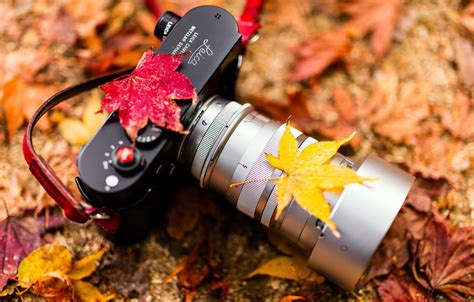 Wallpaper Camera Autumn Colors Leica Images For Desktop Section Hi