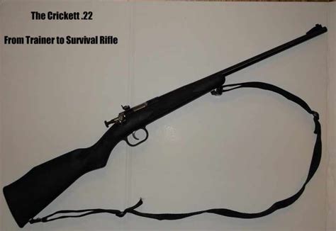 Davey Crickett 22 Rifle Review From Trainer To Survival Rifle