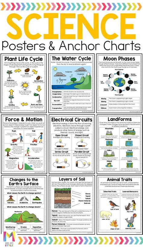 Science Poster Bundle Third Grade Science Projects Third Grade