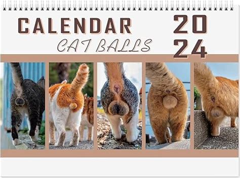 Amazon Com Cat Balls Calendar Cat Butthole Calendar For Prank Gift Funny Cat Butthole
