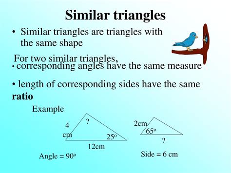 PPT - Chapter 10 Congruent and Similar Triangles PowerPoint Presentation - ID:307619
