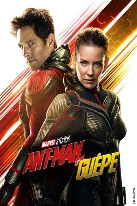 Marvel Studios Ant Man Et La Guêpe Disney Dvd Blu Ray And Achat
