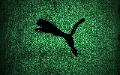 Puma Wallpapers 71 Pictures