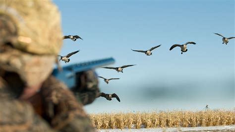 Five Simple Duck Hunting Tips Outdoor Life