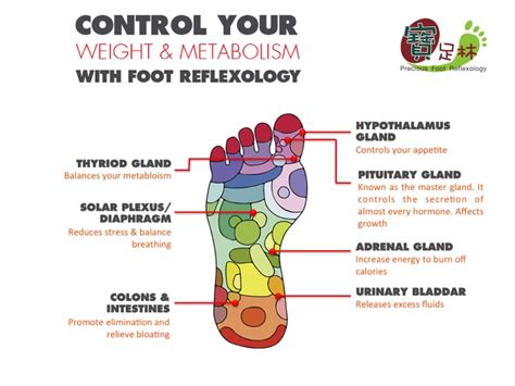 Health Tips Control Weight Metabolism With Foot Reflexology