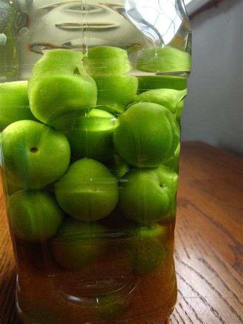 how to make umeshu japanese ume plum wine delicious coma with images plum wine homemade