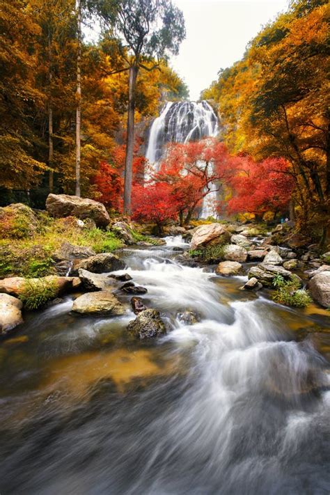 Waterfall In The Autumn Stock Photo Image Of Leaf Background 46408178