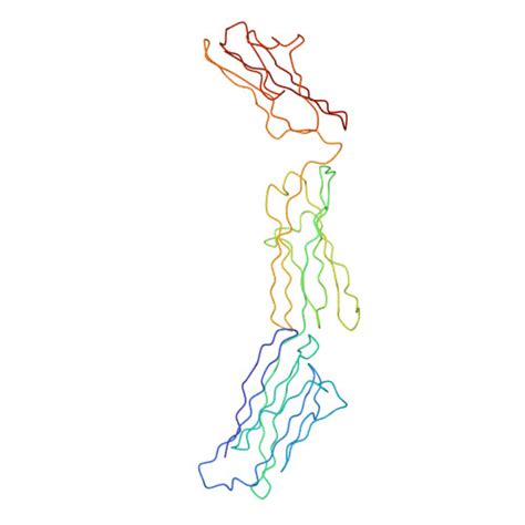 Rcsb Pdb Nn Cryoem Structure Of Poliovirus Receptor Bound To