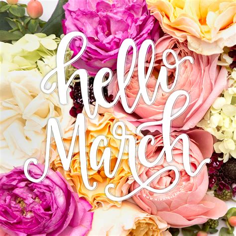 Hello March Hello March March Luxury Flowers