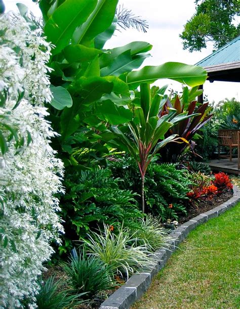 Wynnum Tropical Garden Brisbane By Utopia Landscape Design