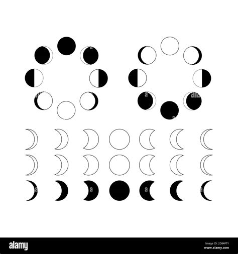 Lunar Phases Isolated Cosmic Silhouette Vector Moon Vector