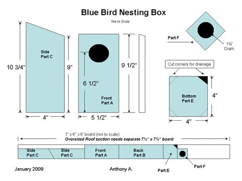 How To Choose The Right Birdhouse To Attract Birds To Your Yard